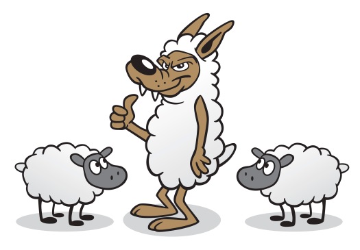 xiomara-spadafora-wolf-in-sheeps-clothing